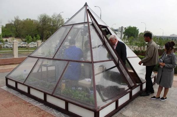 Обустройство теплицы внутри Обустройство теплицы внутри