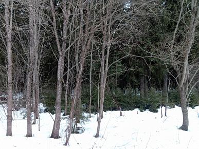 Обзор 12-дюймового планшета Teclast T60 Plus