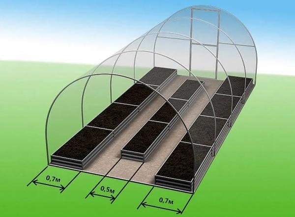 Обустройство теплицы внутри Обустройство теплицы внутри