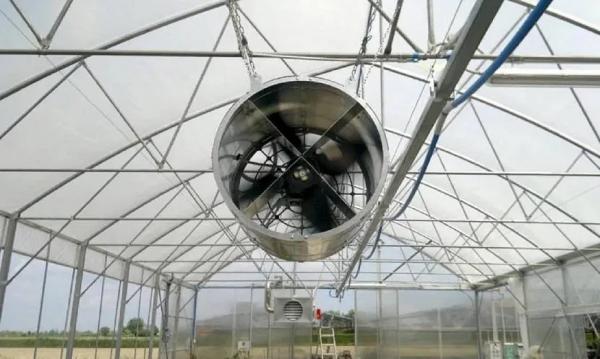 Обустройство теплицы внутри Обустройство теплицы внутри