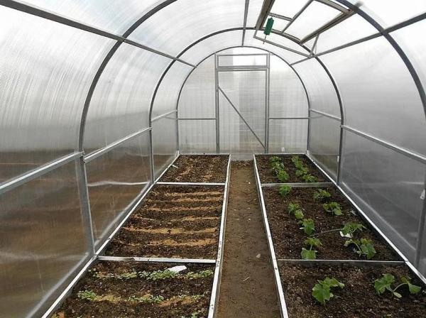 Обустройство теплицы внутри Обустройство теплицы внутри