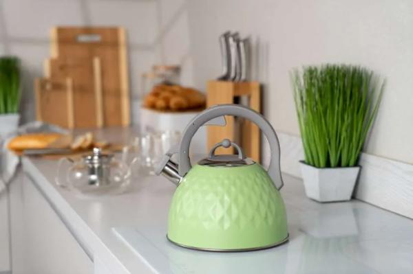 Какой чайник лучше купить для газовой плиты: выбор подходящей модели по критериям и рейтингу