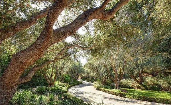 Дом Дуэйна Джонсона: как живет главный герой фильма &laquo;Царь скорпионов&raquo;