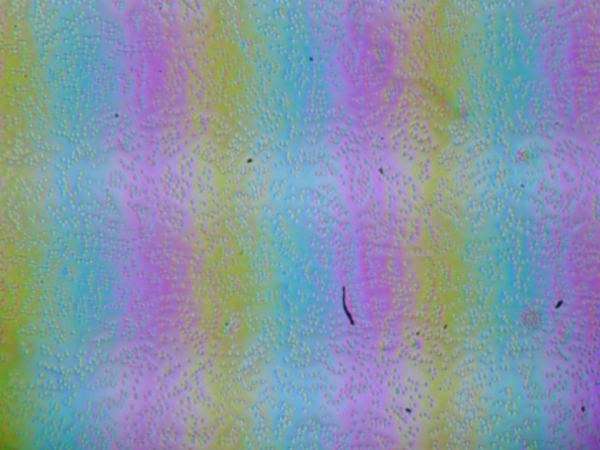 Обзор ноутбука Digma Pro Pactos с AMD Ryzen 7 7730U