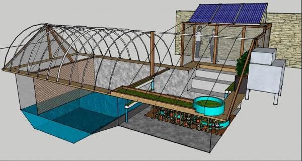 Обустройство теплицы внутри Обустройство теплицы внутри