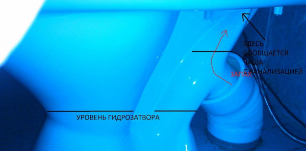 Как избавиться от запаха канализации: проблемы и их решения Как избавиться от запаха канализации: проблемы и их решения