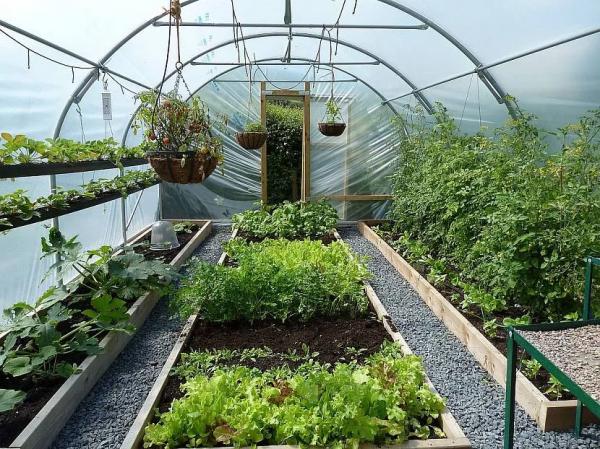 Обустройство теплицы внутри Обустройство теплицы внутри