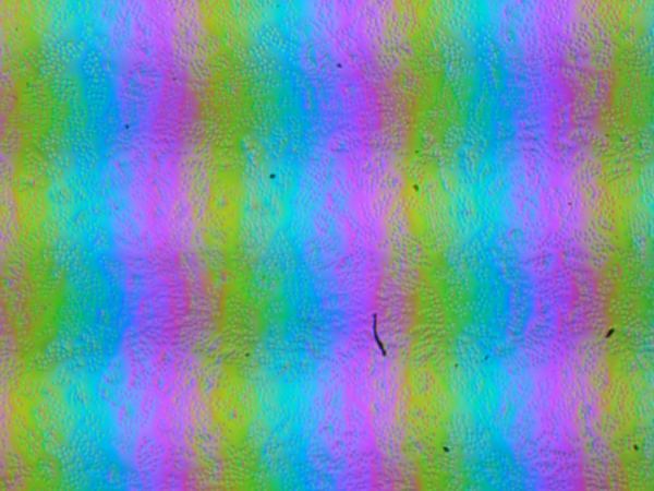 Обзор игрового ноутбука Asus ROG Strix Scar 18 G835LX с Intel Core Ultra 9 275HX и Nvidia GeForce RTX 5090 Laptop