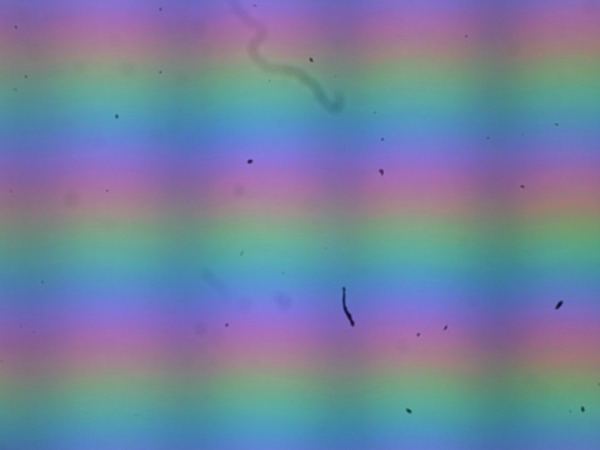 Обзор планшета XPPen Magic Note Pad, позиционируемого как блокнот для заметок Обзор планшета XPPen Magic Note Pad, позиционируемого как блокнот для заметок