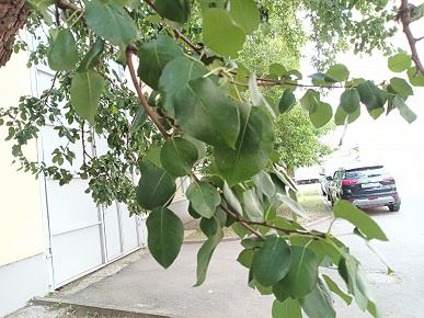 Обзор планшета Digma Pro Empire