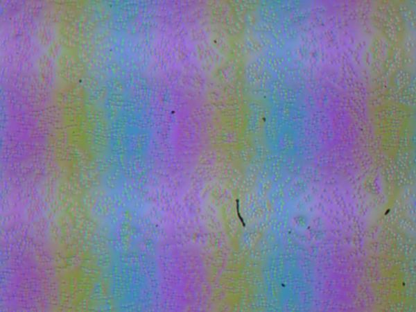 Обзор ноутбука для начинающих OSiO FocusLine F160a на базе AMD Ryzen 5 5500U Обзор ноутбука для начинающих OSiO FocusLine F160a на базе AMD Ryzen 5 5500U