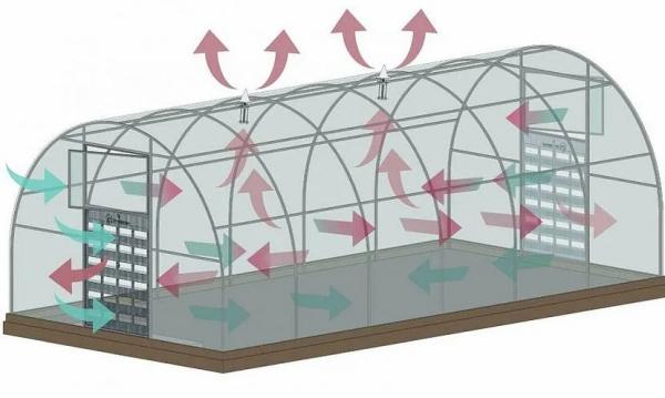 Обустройство теплицы внутри Обустройство теплицы внутри