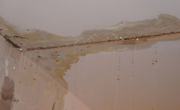 Что делать, если вас затопили соседи Что делать, если вас затопили соседи