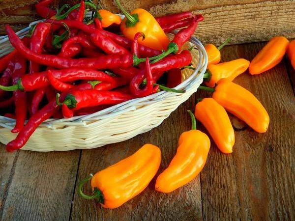 Тепличные шедевры: лучшие сорта и гибриды сладкого перца для закрытого грунта Тепличные шедевры: лучшие сорта и гибриды сладкого перца для закрытого грунта