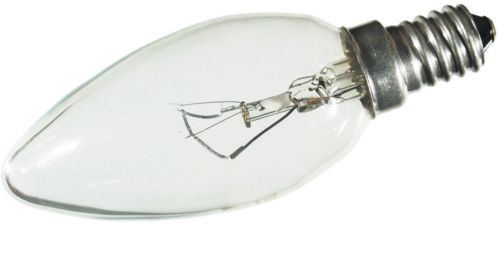 Виды электрических ламп Виды электрических ламп