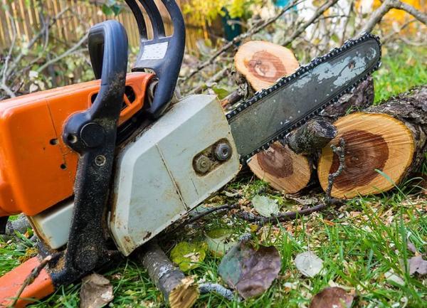 Как выбрать бензопилу, рейтинг бензиновых пил STIHL