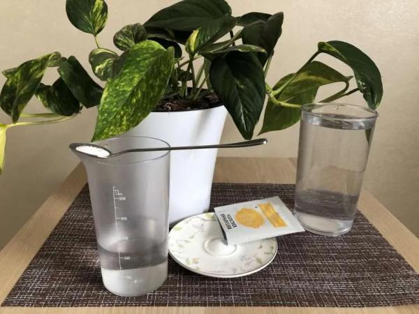 Янтарная кислота для полива цветов: как правильно развести и использовать Янтарная кислота для полива цветов: как правильно развести и использовать