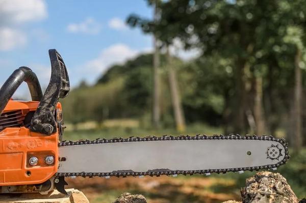 Как выбрать бензопилу, рейтинг бензиновых пил STIHL