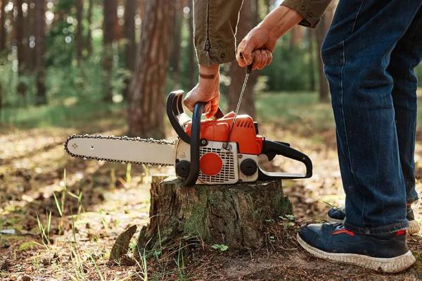 Как выбрать бензопилу, рейтинг бензиновых пил STIHL