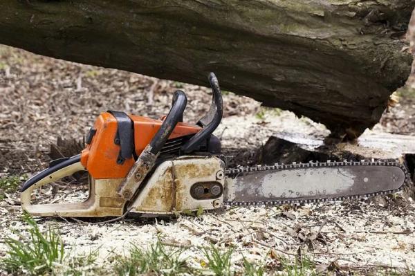 Как выбрать бензопилу, рейтинг бензиновых пил STIHL