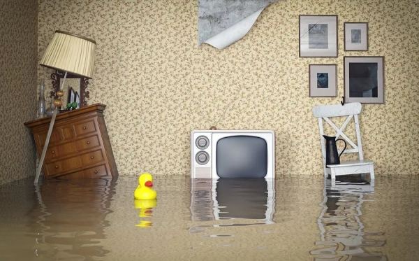 Что делать, если вас затопили соседи Что делать, если вас затопили соседи