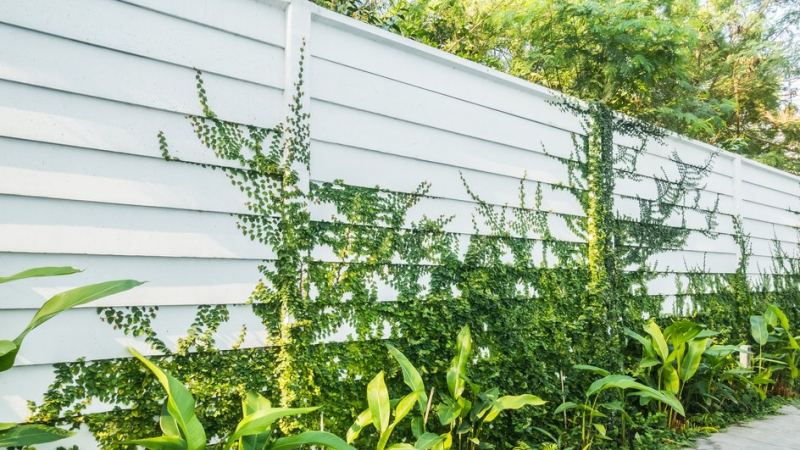 Красивый забор для дома и дачи