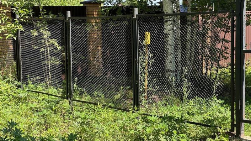 Забор из сетки-рабицы
