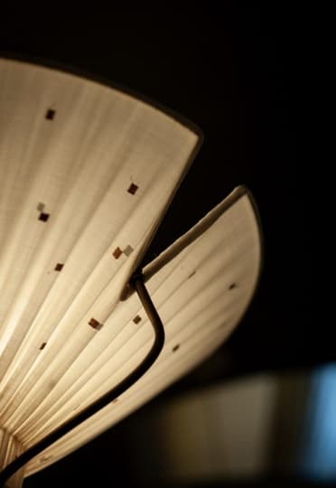 Студия Pirajean Lees выпустила дебютную коллекцию мебели