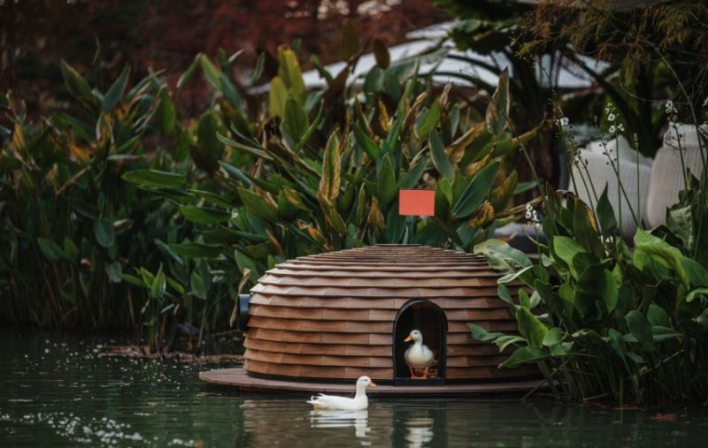 Дизайнер из Тайваня придумал укрытия для уток