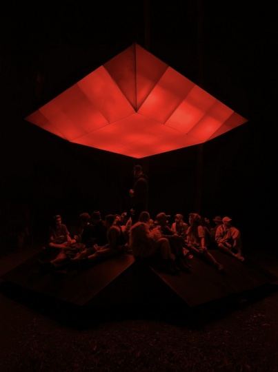 Инсталляция Бенни Аллана взаимодействует с окружающими деревьями