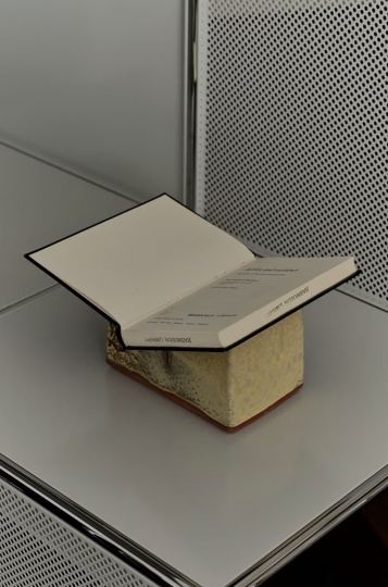 Коллаборация USM и студии LOVEISENOUGH