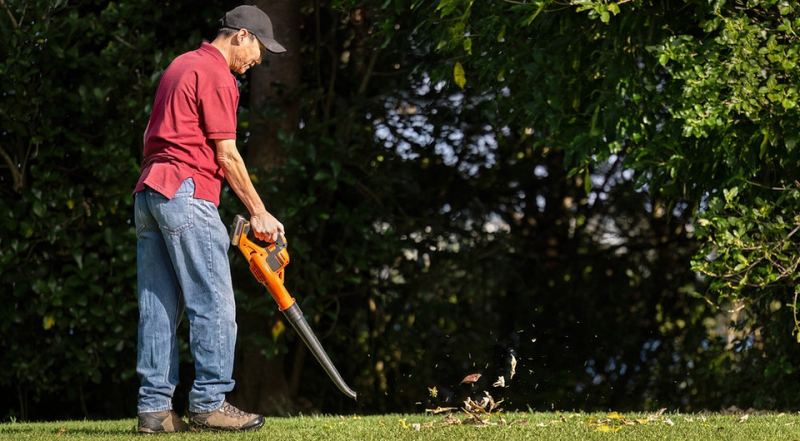 Лучшие воздуходувки: топ-10 моделей для сада и дома