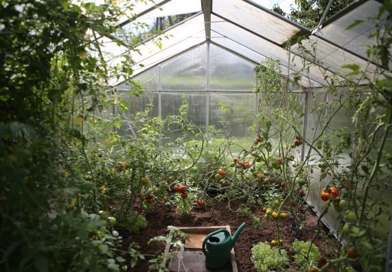 Co to są szklarnie ogrodowe i dlaczego warto je mieć? Co to są szklarnie ogrodowe i dlaczego warto je mieć?