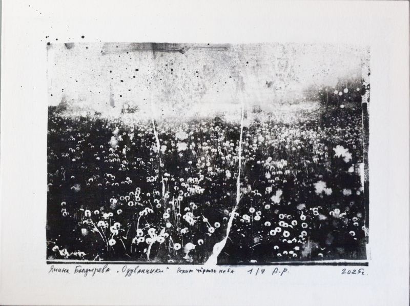 SCAN и фонд «Антон тут рядом» проведут благотворительный аукцион