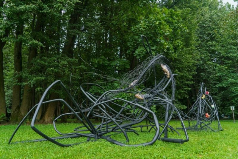 В «Царицыно» появился арт-объект на стыке искусства и науки