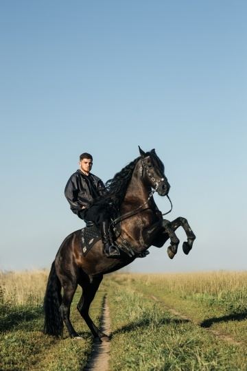 Жостовская фабрика создала мерч для футбольной команды