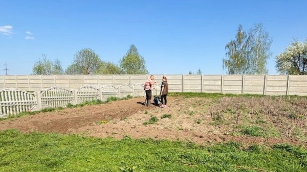 Подготавливаем огород к посадке. Ожидания не оправдались. Делаем ремонт в доме своими руками.