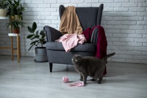 Как отучить кота царапать мебель из кожзама уксусом