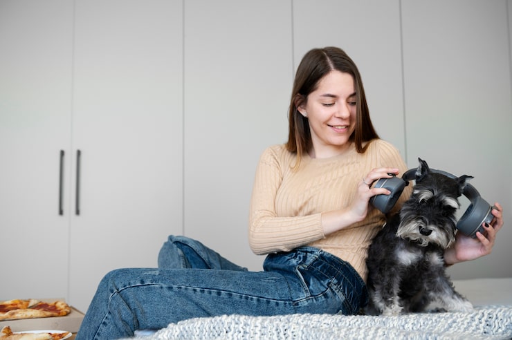 Ключевые ингредиенты для восстановления увлажненности шерсти